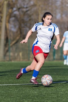 Bild 229 - F Hamburger SV 3 - Blau-Weiss 96 : Ergebnis: 5:1